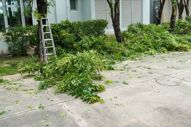 Best Tree Trimming and Pruning  in Emerald Lakes, PA